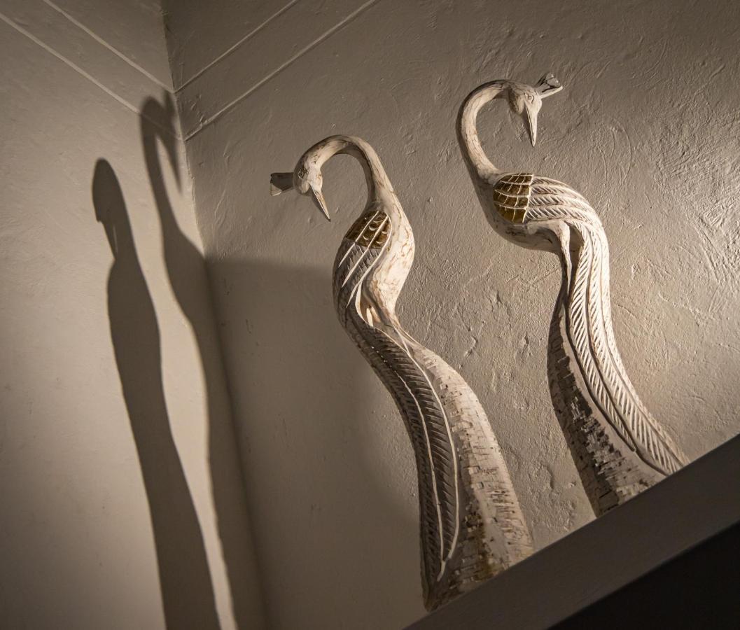 Casa Jacaranda Hotel Boutique - Cauca Viejo - Mayores De 14 Anos - ヘリコ エクステリア 写真