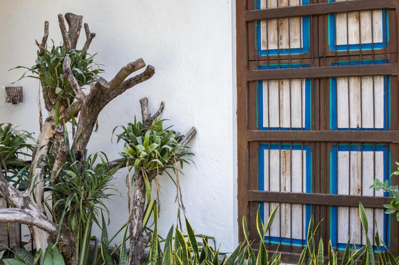 Casa Jacaranda Hotel Boutique - Cauca Viejo - Mayores De 14 Anos - ヘリコ エクステリア 写真