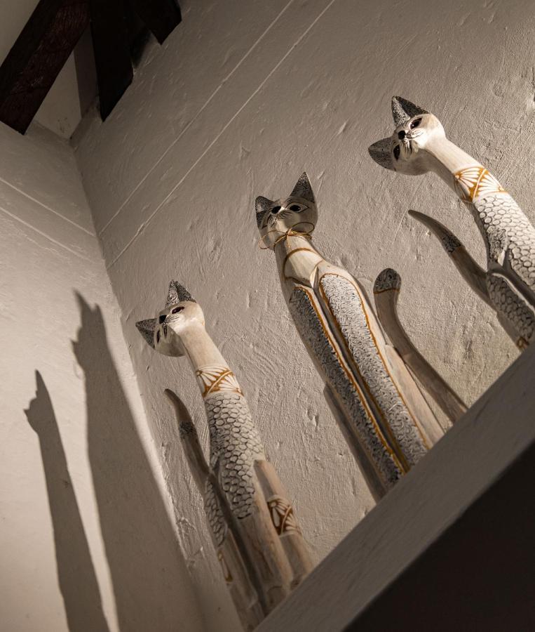 Casa Jacaranda Hotel Boutique - Cauca Viejo - Mayores De 14 Anos - ヘリコ エクステリア 写真