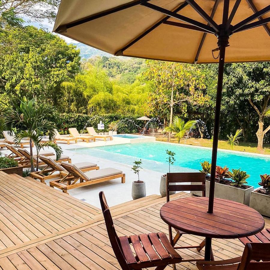 Casa Jacaranda Hotel Boutique - Cauca Viejo - Mayores De 14 Anos - ヘリコ エクステリア 写真